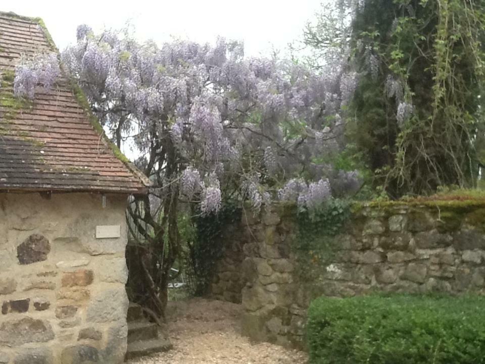 Hôtel Domaine De Sautou à Castanet  Extérieur photo